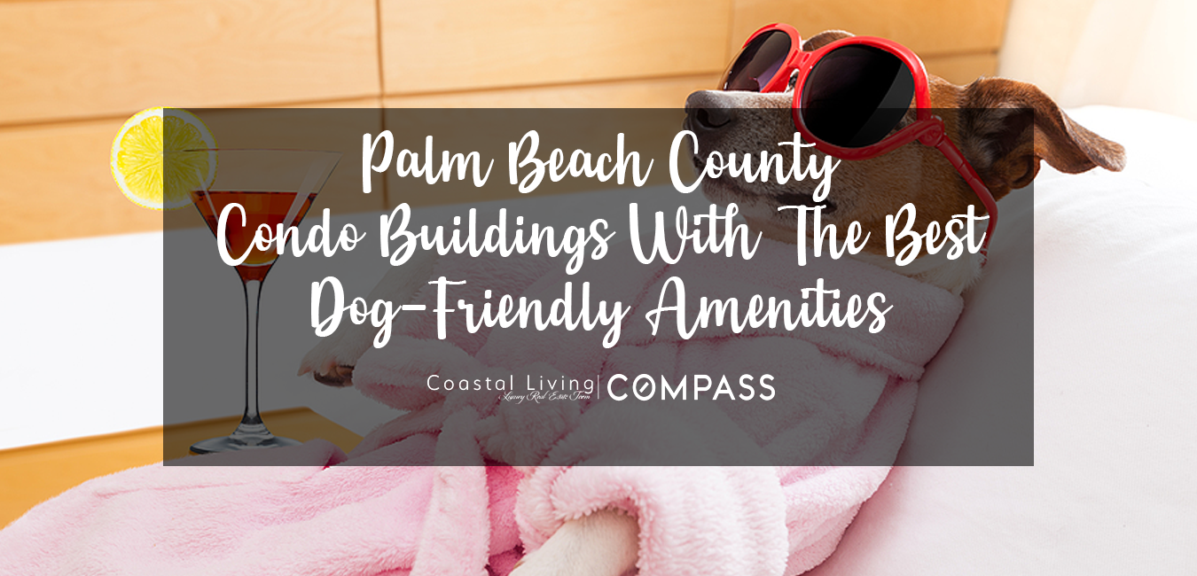 Palm Beach County Condo Buildings With Dog-Friendly Amenities